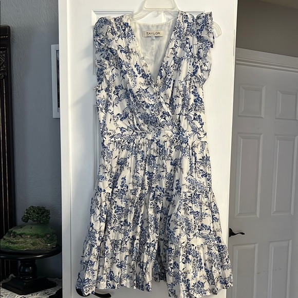 Taylor Blue and White Mini Dress - Picture 2 of 7